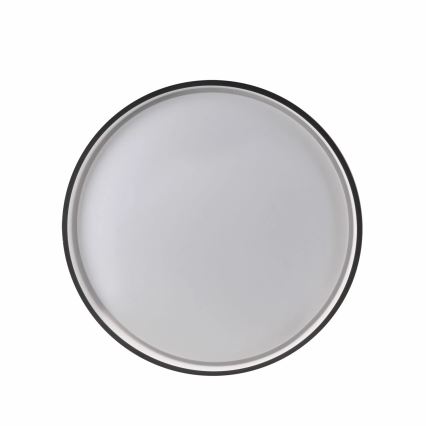 LED Prigušiva stropna svjetiljka za kupaonicu JADWIGA LED/42W/230V pr. 38,5 cm 3000-6000K IP44 + daljinski upravljač