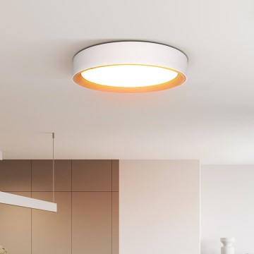 LED Prigušiva stropna svjetiljka LARIOS LED/48W/230V 3000-6500K pr.39 cm bílá+ daljinski upravljač