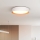 LED Prigušiva stropna svjetiljka LARIOS LED/48W/230V 3000-6500K pr.39 cm bílá+ daljinski upravljač
