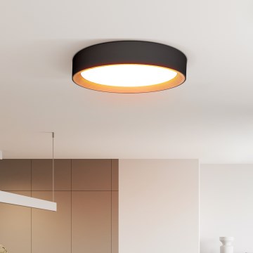 LED Prigušiva stropna svjetiljka LARIOS LED/48W/230V 3000-6500K pr.39 cm crna + daljinski upravljač