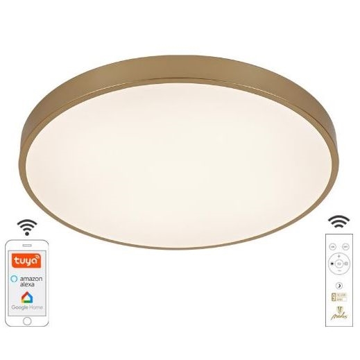 LED Prigušiva stropna svjetiljka LED/48W/230V 2700-6500K Wi-Fi Tuya + daljinski upravljač