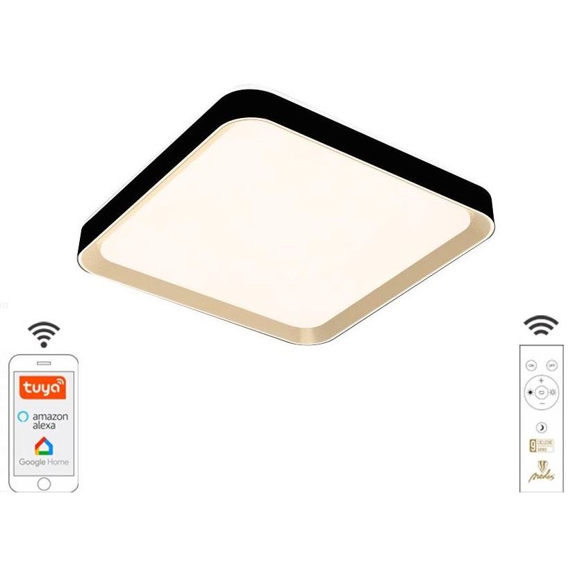 LED Prigušiva stropna svjetiljka LED/48W/230V 2700-6500K Wi-Fi Tuya + daljinski upravljač