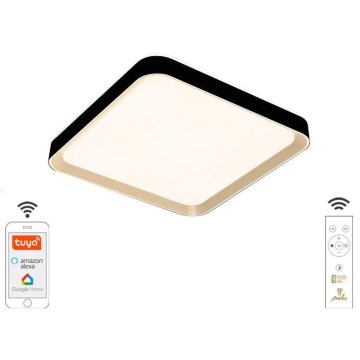 LED Prigušiva stropna svjetiljka LED/48W/230V 2700-6500K Wi-Fi Tuya + DU