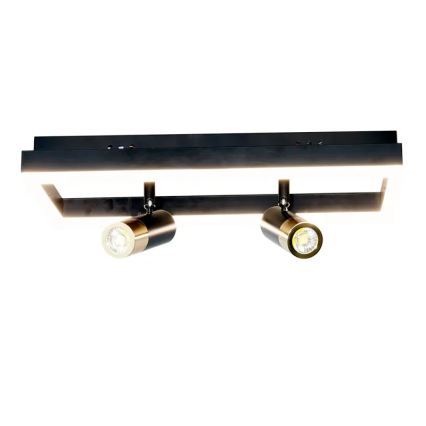 LED Prigušiva stropna svjetiljka LED/50W/230V 3000-6500K crna + daljinski upravljač