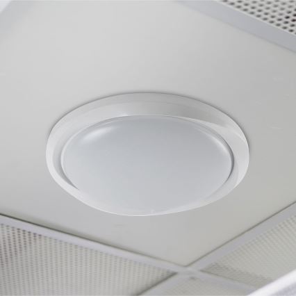 LED Prigušiva stropna svjetiljka LED/60W/230V 3000-6500K 49,2 cm bijela + daljinski upravljač