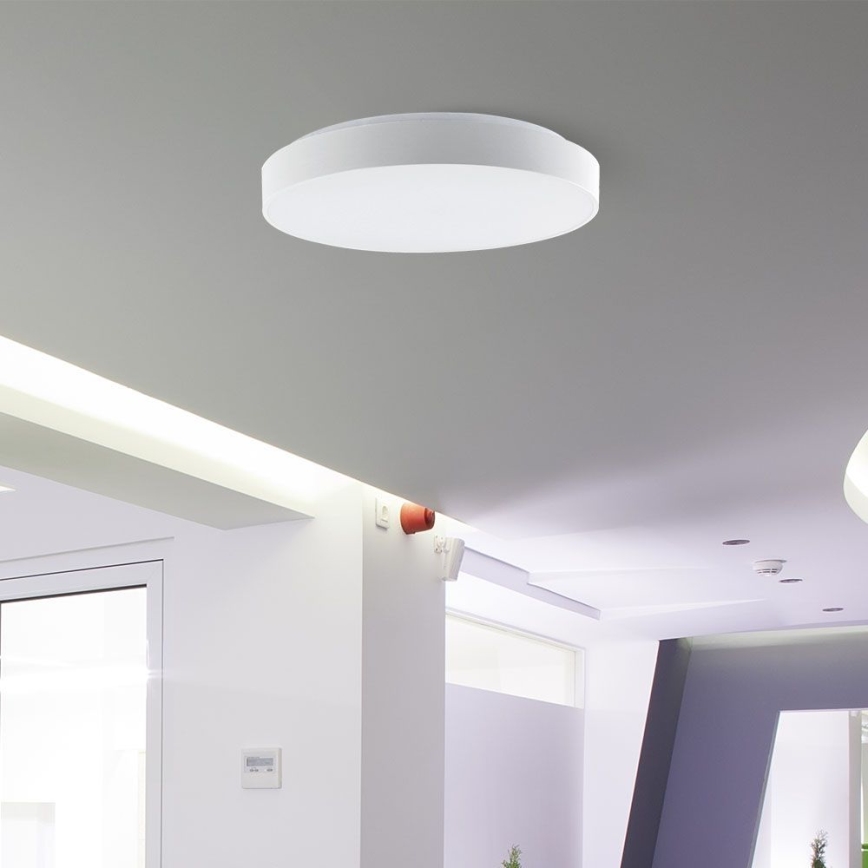 LED Prigušiva stropna svjetiljka LED/60W/230V 3000-6500K 49,5 cm bijela + daljinski upravljač