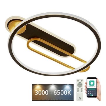 LED Prigušiva stropna svjetiljka LED/60W/230V 3000-6500K crna + daljinski upravljač