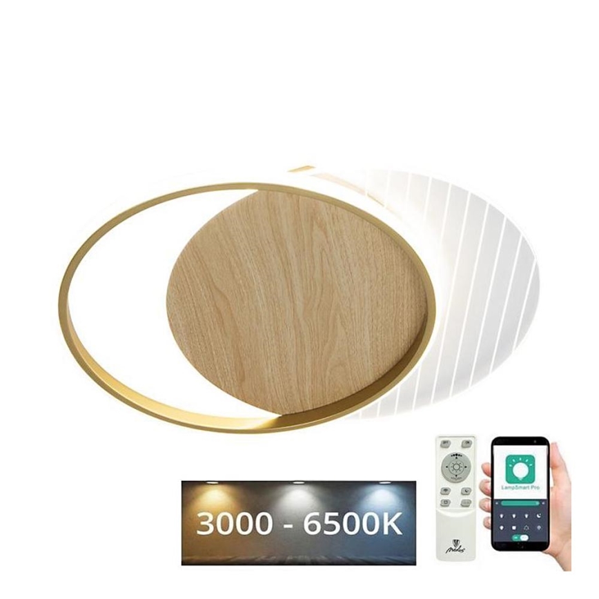 LED Prigušiva stropna svjetiljka LED/60W/230V 3000-6500K + daljinski upravljač