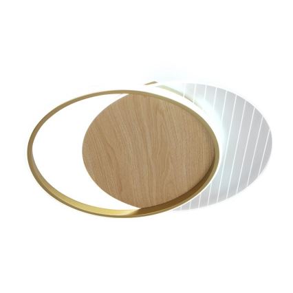 LED Prigušiva stropna svjetiljka LED/60W/230V 3000-6500K + daljinski upravljač
