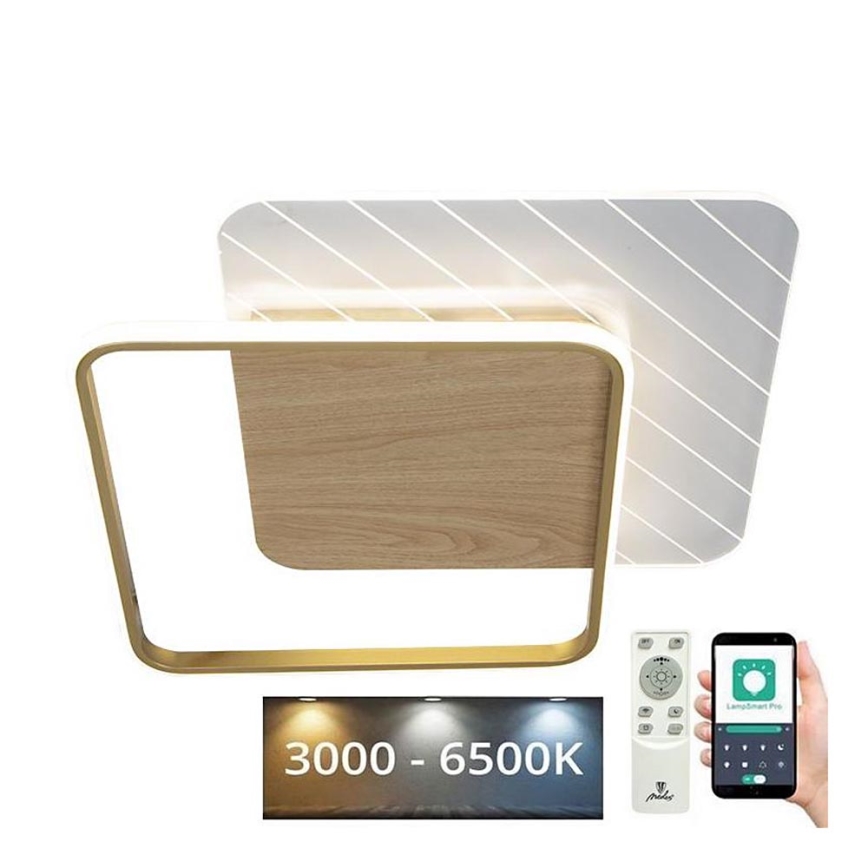 LED Prigušiva stropna svjetiljka LED/60W/230V 3000-6500K + daljinski upravljač