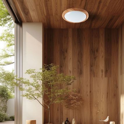 LED Prigušiva stropna svjetiljka LED/60W/230V 3000-6500K pr. 49 cm + daljinski upravljač