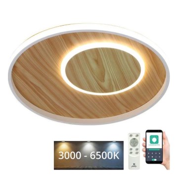 LED Prigušiva stropna svjetiljka LED/65W/230V 3000-6500K smeđa +daljinski upravljač