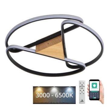 LED Prigušiva stropna svjetiljka LED/75W/230V 3000-6500K smeđa/crna + daljinski upravljač