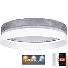 LED Prigušiva stropna svjetiljka LIMA LED/36W/230V 2700-6500K Wi-Fi Tuya + daljinski upravljač srebrna/bijela