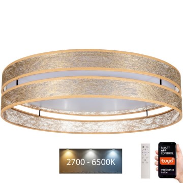 LED Prigušiva stropna svjetiljka LIMA LED/36W/230V 2700-6500K Wi-Fi Tuya + daljinski upravljač zlatna