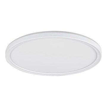 LED Prigušiva stropna svjetiljka PAVEL LED/22W/230V