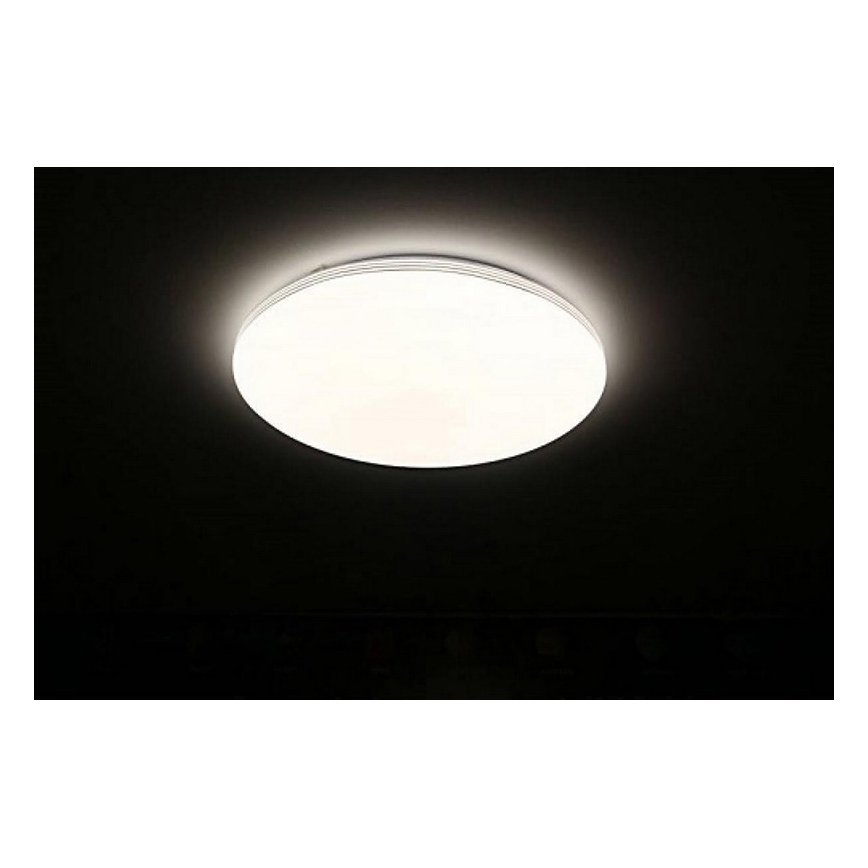 LED Prigušiva stropna svjetiljka s daljinskim upravljačem SIENA LED/25W/230V
