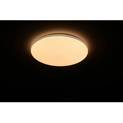 LED Prigušiva stropna svjetiljka s daljinskim upravljačem SIENA LED/25W/230V