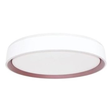 LED Prigušiva stropna svjetiljka s glasovnim upravljanjem OPAL LED/48W/230V 2700-6500K bijela + daljinski upravljač