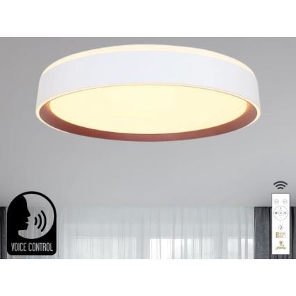 LED Prigušiva stropna svjetiljka s glasovnim upravljanjem OPAL LED/48W/230V 2700-6500K bijela + daljinski upravljač