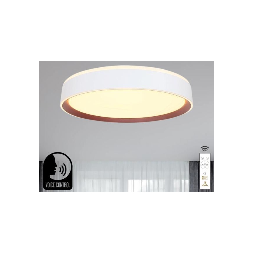 LED Prigušiva stropna svjetiljka s glasovnim upravljanjem OPAL LED/48W/230V 2700-6500K bijela + daljinski upravljač