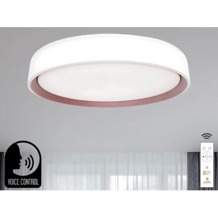 LED Prigušiva stropna svjetiljka s glasovnim upravljanjem OPAL LED/48W/230V 2700-6500K bijela + daljinski upravljač