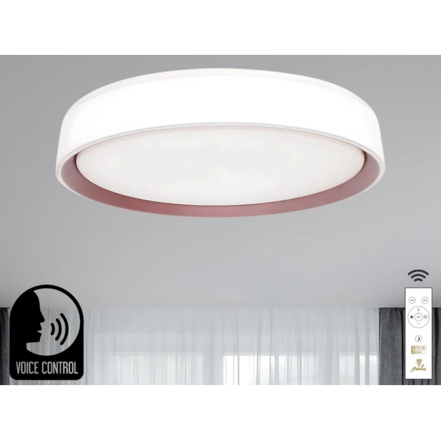 LED Prigušiva stropna svjetiljka s glasovnim upravljanjem OPAL LED/48W/230V 2700-6500K bijela + daljinski upravljač