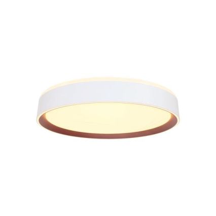 LED Prigušiva stropna svjetiljka s glasovnim upravljanjem OPAL LED/48W/230V 2700-6500K bijela + daljinski upravljač
