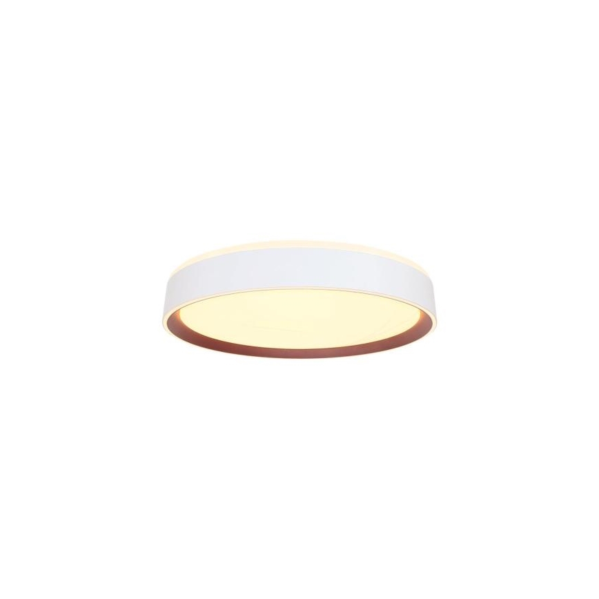 LED Prigušiva stropna svjetiljka s glasovnim upravljanjem OPAL LED/48W/230V 2700-6500K bijela + daljinski upravljač