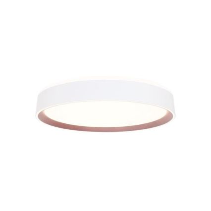 LED Prigušiva stropna svjetiljka s glasovnim upravljanjem OPAL LED/48W/230V 2700-6500K bijela + daljinski upravljač
