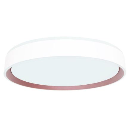LED Prigušiva stropna svjetiljka s glasovnim upravljanjem OPAL LED/48W/230V 2700-6500K bijela + daljinski upravljač