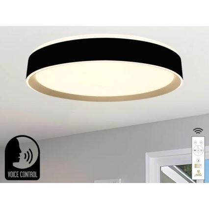 LED Prigušiva stropna svjetiljka s glasovnim upravljanjem OPAL LED/48W/230V 2700-6500K crna + daljinski upravljač