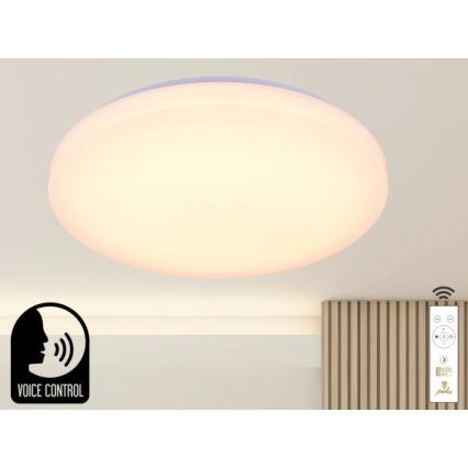 LED Prigušiva stropna svjetiljka s glasovnim upravljanjem OPAL LED/48W/230V 2700-6500K bijela + daljinski upravljač