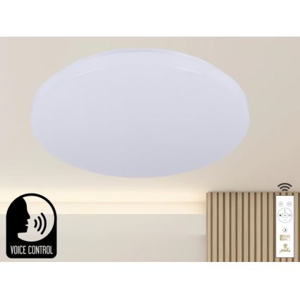 LED Prigušiva stropna svjetiljka s glasovnim upravljanjem OPAL LED/48W/230V 2700-6500K bijela + daljinski upravljač