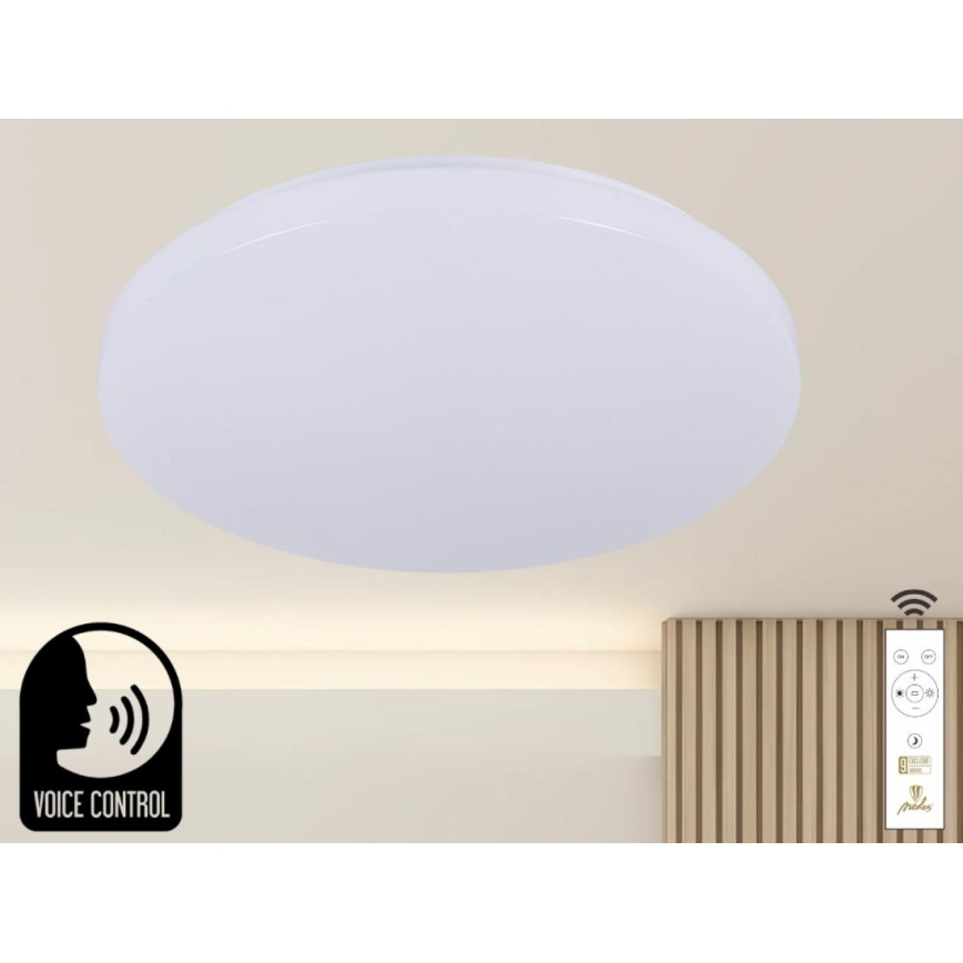 LED Prigušiva stropna svjetiljka s glasovnim upravljanjem OPAL LED/48W/230V 2700-6500K bijela + daljinski upravljač
