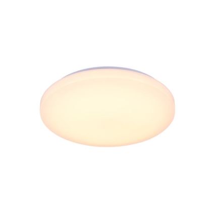 LED Prigušiva stropna svjetiljka s glasovnim upravljanjem OPAL LED/48W/230V 2700-6500K bijela + daljinski upravljač