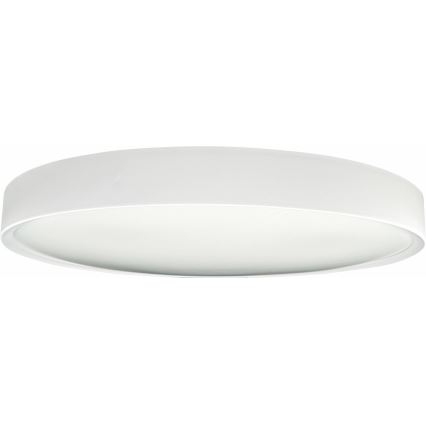 LED Prigušiva stropna svjetiljka SAMER LED/40W/230V 2900-6000K + daljinski upravljač