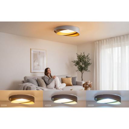 LED prigušivo stropno svjetlo SMART GALAXY MODERN LED/24W/230V 3000-6500K Ø 55 cm sivo/zlatno + daljinski upravljač