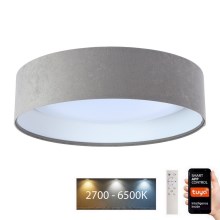 LED Prigušiva stropna svjetiljka SMART GALAXY LED/24W/230V pr. 45 cm 2700-6500K Wi-Fi Tuya siva/bijela + daljinski upravljač