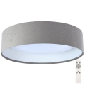 LED Prigušiva stropna svjetiljka SMART GALAXY LED/24W/230V siva/bijela 3000-6500K + DU