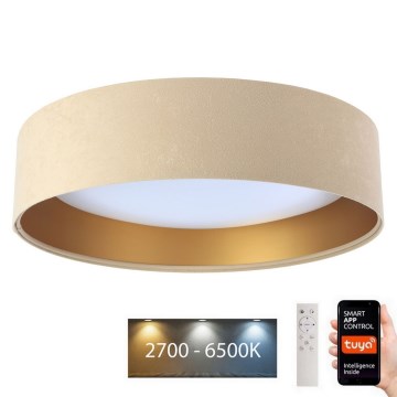 LED Prigušiva stropna svjetiljka SMART GALAXY LED/36W/230V pr. 55 cm 2700-6500K Wi-Fi Tuya bež/zlatna + daljinski upravljač