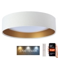 LED Prigušiva stropna svjetiljka SMART GALAXY LED/36W/230V pr. 55 cm 2700-6500K Wi-Fi Tuya bijela/zlatna + daljinski upravljač