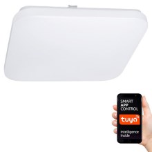 LED Prigušiva stropna svjetiljka SMART LED/28W/230V Wi-Fi Tuya 3000-6500K
