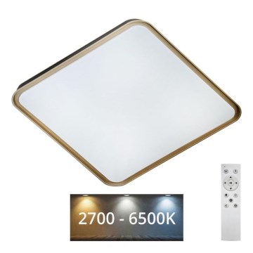 LED Prigušiva stropna svjetiljka UNA LED/60W/230V 2700-6500K 50x50 cm + daljinski upravljač
