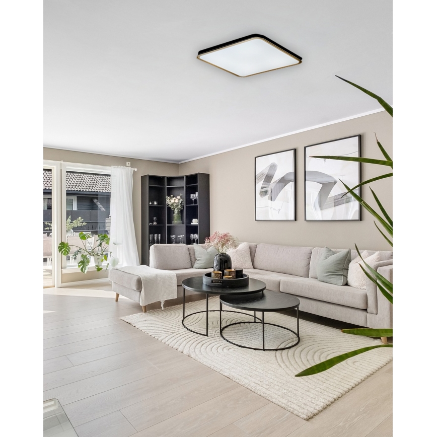 LED Prigušiva stropna svjetiljka UNA LED/60W/230V 2700-6500K 50x50 cm + daljinski upravljač