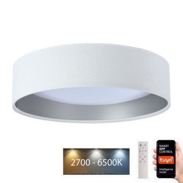 LED Prigušiva svjetiljka SMART GALAXY LED/24W/230V pr. 45 cm Wi-Fi Tuya + daljinski upravljač