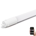 LED Prigušiva svjetlosna cijev MESH Smart T8/10W/230V 6500K 60 cm - Aigostar