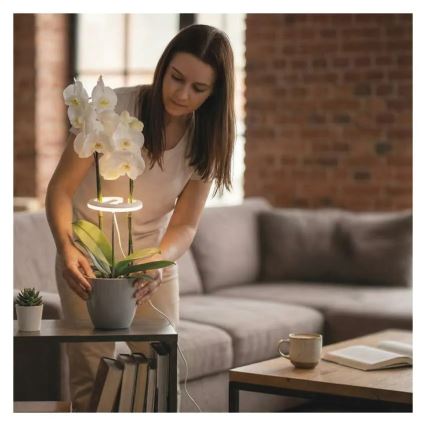 LED prigušiva unutarnja svjetiljka za uzgoj biljaka GROW LED/8W/5V