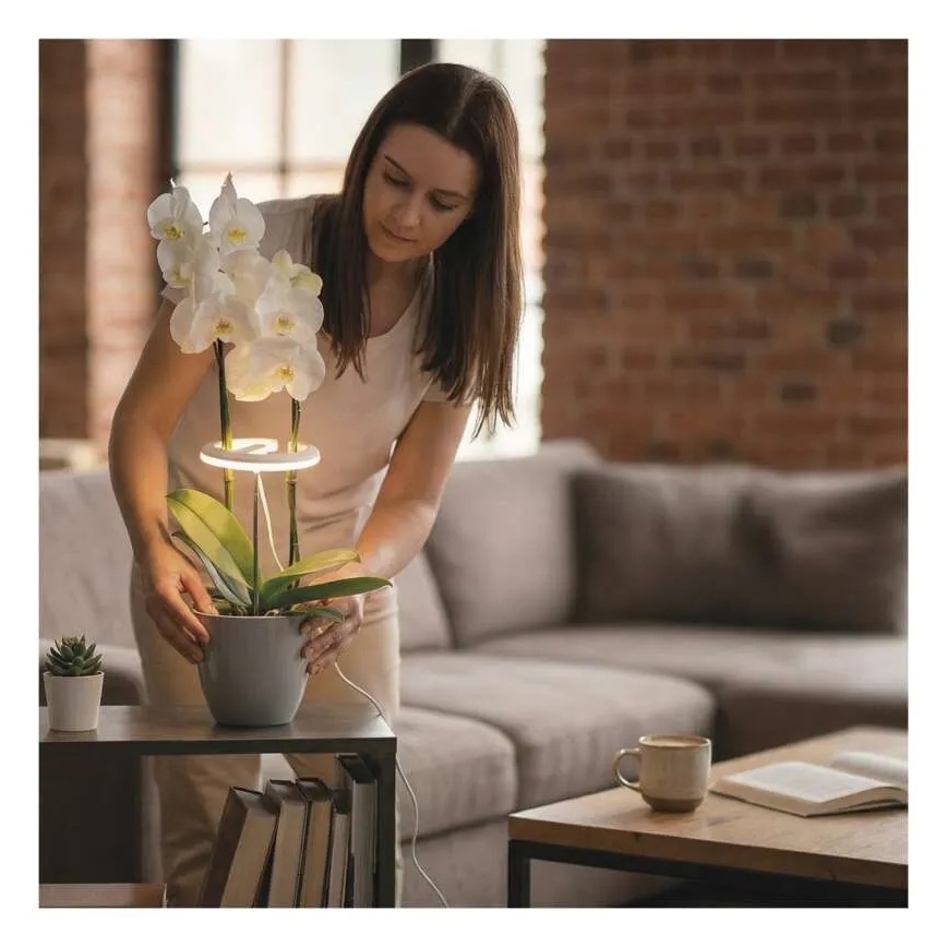 LED prigušiva unutarnja svjetiljka za uzgoj biljaka GROW LED/8W/5V