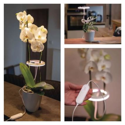 LED prigušiva unutarnja svjetiljka za uzgoj biljaka GROW LED/8W/5V